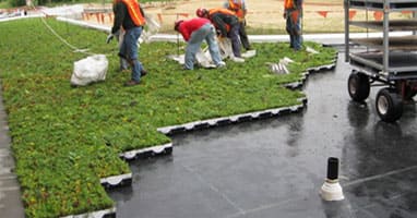 Rood Waterproofing