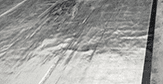 Aluminium Foil