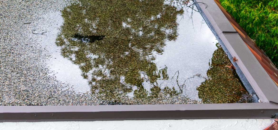 Waterproofing membrane