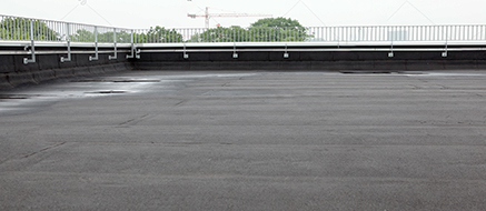 bituminous membrane