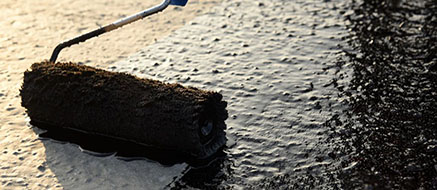 bituminous membrane